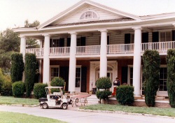mansion1995s.jpg